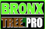 Bronx Tree Pro | Tree Services