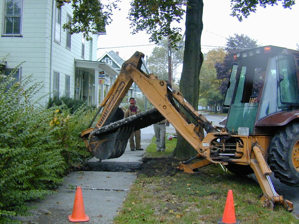 Protect Trees During Construction
